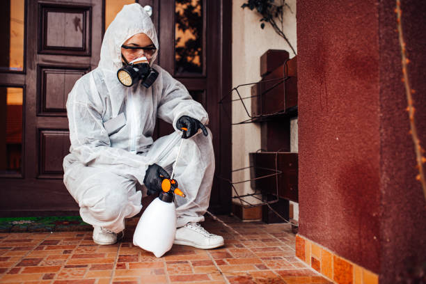 Reliable Bed Bug Control contractor in Union Mill, VA by Nex Pest Control