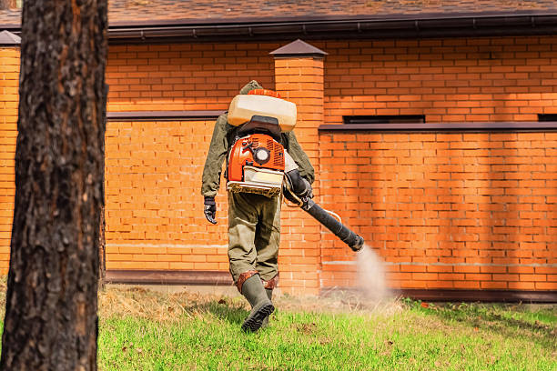 Top rated local Bed Bug Control specialists in Union Mill, VA